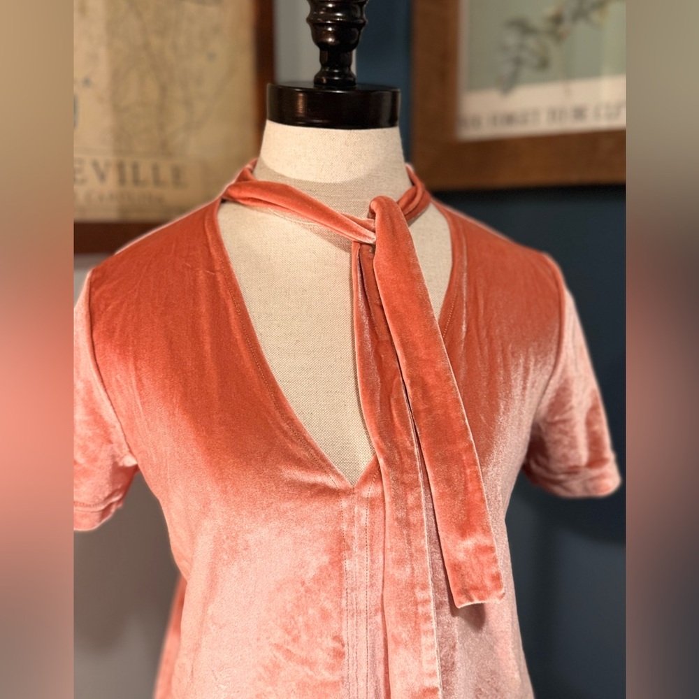 Madewell Rose Velvet V-Neck Short Sleeve Top